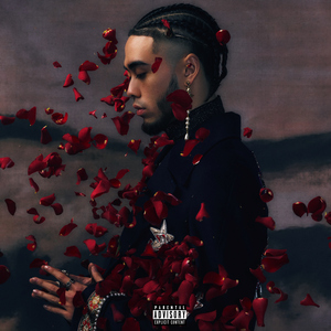 大爆奶美女网站
